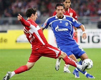 了大量关注 了大量关注